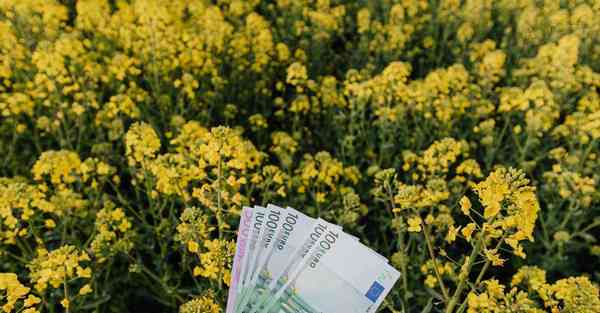 科普类纪录片免费_科普类纪录片排行榜