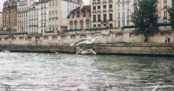 科技互联混合是什么基金