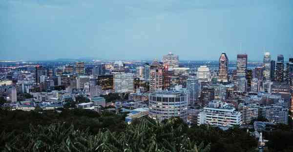 企业座谈会谈哪些问题