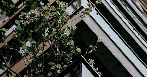 展厅设计与人的互动